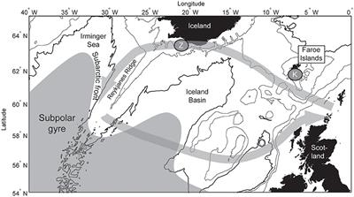 The Dynamics of the North Atlantic Subpolar Gyre Introduces Predictability to the Breeding Success of Kittiwakes